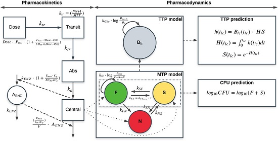 Combined quantitative tuberculosis biomarker model for time-to-positivity and colony forming unit to support tuberculosis drug development